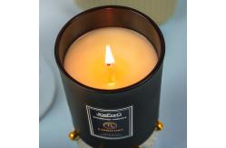 China Luxury Scent Plant Vanilla Fragrances Private Label Weeding Scented Candle In Bulk With Lid supplier