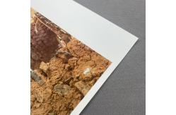 China High Quality A4 150gsm Waterbased Matte RC Non woven Fabric supplier