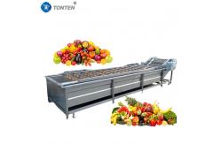 China Custom Lettuce Fruit And Veg Cleaning Machine Washer 500-1000kg/hour supplier
