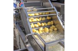 China Vegetable Hair Roller Bubble Washing Selection Cutting Machine Production Line supplier