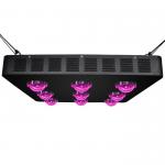 Energy Saving IP65 Indoor LED Grow Light COB For Scaled Medical Plant High Yield for sale