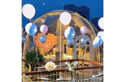 China ROSH Certificate Garden Bubble Tent Aluminium Frame Bubble Igloo Tent supplier