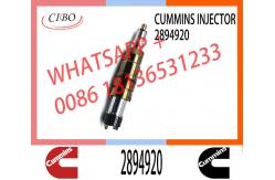 China Diesel Fuel Injector 2872405 5579417 2894920 5579415 For Cummins supplier