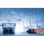 Customized LCL FCL Container Shipping From China To American for sale