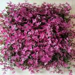 Artificial Wall Grass The Ideal Choice For Residential Commercial And Industrial Buildings for sale