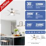 42 Inch 6 MDF Blades Modern Pull Chain Ceiling Fan With Light