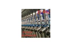 China 100-1000ml Servo Ss304 Shampoo Detergent Lotion Liquid Soap Bottle Filling Machine supplier