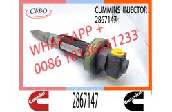 China Marine Diesel Engine QSK19 QSK38 QSK60 Fue Injector 2867147 F00BJ00001 supplier