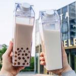 500ml Plastic Square Custom Drinking Cups Milk Carton Water Bottle Leakproof for sale
