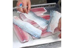 China 30pcs/min Fish Processing Machine Squid Cuttlefish Skin Peeler supplier
