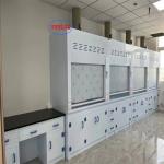 Noise Performance ≤60dB Chemical Fume Hood Laboratory Fume Hoods With Scrubber Controlled by Microcomputer for sale