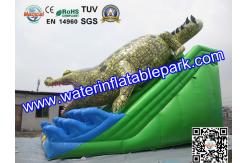 China Commercial Crocodile Inflatable Slide , Inflatable Water Slide For Rental supplier