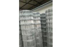 China Farm Grassland Galvanized Fencing Mesh 1-2m Hight With Hinge Joint supplier