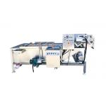 CE,ISO Approved 500kg/H Fruit Washing Equipment for sale
