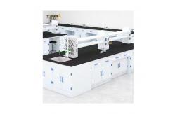 China White Polypropylene Lab Bench Laboratory Table With Epoxy Resin Table Top supplier