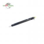 Common Rail Fuel Injector EJBR04401D A6650170221 for D27DT Engine