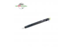 China Common Rail Fuel Injector EJBR04401D A6650170221 for D27DT Engine supplier