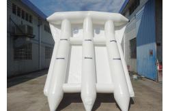 China Commercial Grade Rental Towable Inflatables Water Game Flying Fish For Seashore supplier