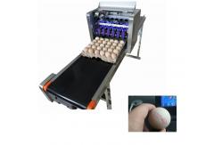 China Industrial Software Operation Egg Printing Machine , HD Inkjet Printer For Eggs supplier