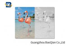 China Personalized 3d Lenticular Greeting Cards High Definition No 3D Glass Needed supplier