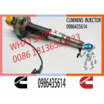 Engineering Machinery QSK19 Truck Engine System Accessories 0986435614 Diesel Fuel Injector