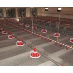 1.5KW Chicken Feeding Line Automatic Feeding Machine For Poultry