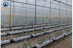 China Rectangular Hydroponic Soilless Growing Trough PP Roll Drainage Gutter System Planting supplier