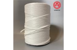China Twisted Virgin Material PP Filler Yarn supplier