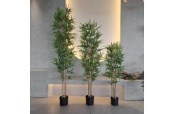 China Artificial Bamboo Tree X 7 UV Resistant Plastic Plants 120-180CM supplier