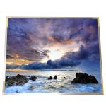 19.0 inch a-Si TFT-LCD G190EAN01.6 LCD Screen for AUO for sale