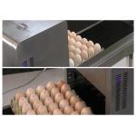 Favorable Eggs Inkjet Printer / SGS Certification For Print Date In Egg