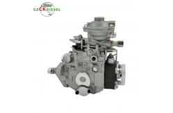 China VE4 Fuel Injection Pump 0460424425 12F1100L2036 504219402 supplier