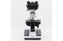 China Halogen Light Student 1000x WF10X Biological Compound Microscope supplier
