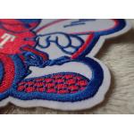 3D Washable Custom Embroidery Heat Transfer Patch For Ski-Wear