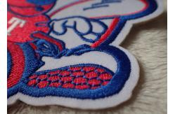 China 3D Washable Custom Embroidery Heat Transfer Patch For Ski-Wear supplier