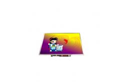 China B141PW01 V2 14.1 inch 1440*900 TFT-LCD SCREEN LCD Display supplier