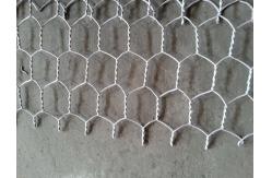 China Galvanized Gabion Hexagonal Wire Netting Machine With Automatic Oil System supplier