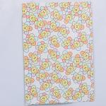 Tear proof Eco Friendly Plastic Poly Mailer Bags Lightweight 15x25cm To 60x80cm Options