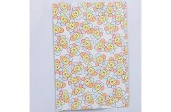 China Tear proof Eco Friendly Plastic Poly Mailer Bags Lightweight 15x25cm To 60x80cm Options supplier