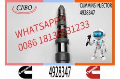 China Injector Nozzle Assembly 4928347 QSK19 QSK23 QSK60 Engine Series supplier