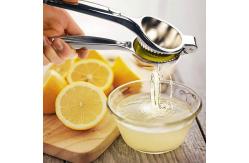 China Zinc Alloy Manual Fruit Press Juicer supplier