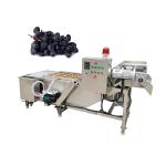 Peanut Portable Washing Machine Made In China for sale