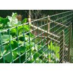 1.5m Height Green PVC Coated Wire Mesh / Heavy Duty Garden Fence Panels 10m Roll for sale
