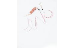 China Epoxy Coated NTC Thermistor with Enameled Lead Wires for Digital Thermometers supplier