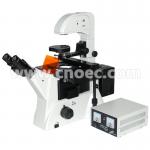 Laboratory Biology Epi-Fluorescence Microscope 100X - 400X A16.0206 for sale