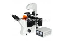 China Laboratory Biology Epi-Fluorescence Microscope 100X - 400X A16.0206 supplier