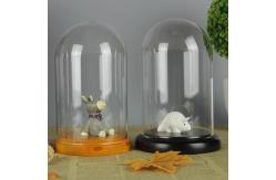 China Wooden Base D10*H20cm Borosilicate Glass Display Dome Cloche supplier