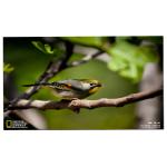 LM238WF5-SSF1 23.8 inch FHD IPS Touch Screen For HP for sale