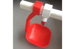 China Automatic Poultry Nipple Drinker With Cup PVC Pipe Chicken Nipple Cups supplier