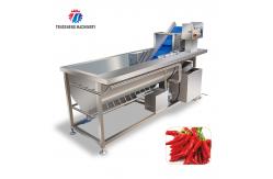 China Vibration Salad Making Vortex Fruit And Vegetable Washing Machine supplier